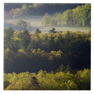 Uitzicht van de lucht in de Cades Cove, grote moky Tegeltje