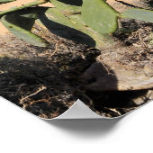 Uitzicht van de lucht op het strand van Tenerife Poster (Hoek)