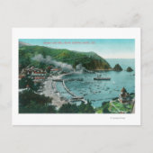 Uitzicht van de lucht van Avalon en Bay Briefkaart (Voorkant)