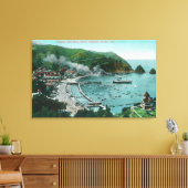 Uitzicht van de lucht van Avalon en Bay Canvas Afdruk (Insitu (Woonkamer))