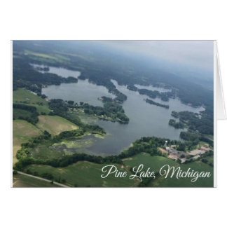 Uitzicht van de lucht van het meer van Pine