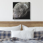 Uitzicht van de maan Hyperion van Saturnus met val Canvas Afdruk (Insitu (Slaapkamer))