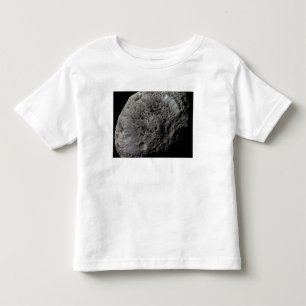 Uitzicht van de maan Hyperion van Saturnus met val Kinder Shirts