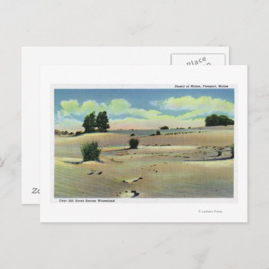 Uitzicht van de Maine-woestijn Briefkaart (Voorkant / Achterkant)