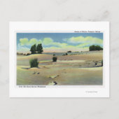 Uitzicht van de Maine-woestijn Briefkaart (Voorkant)