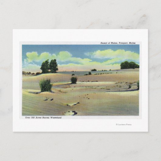 Uitzicht van de Maine-woestijn Briefkaart (Voorkant)
