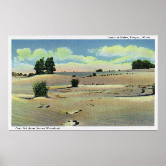 Uitzicht van de Maine-woestijn Poster (Voorkant)