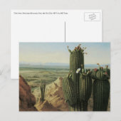 Uitzicht van de Maricopa-berg bij Rio Gila door Pr Briefkaart (Voorkant / Achterkant)