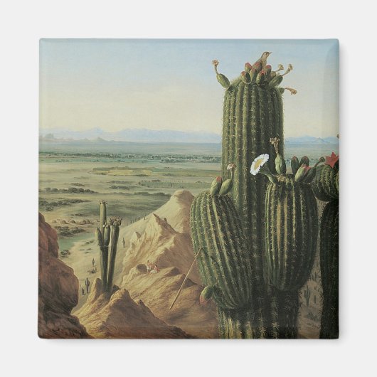 Uitzicht van de Maricopa-berg bij Rio Gila door Pr Magneet (Voorkant)