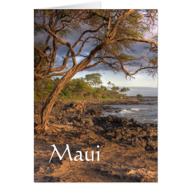 Uitzicht van de Maui-oceaan (Voorkant)