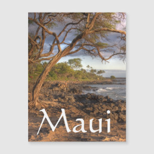 Uitzicht van de Maui-oceaan