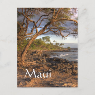 Uitzicht van de Maui-oceaan Briefkaart