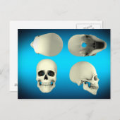 Uitzicht van de menselijke schedel van verschillen briefkaart (Voorkant / Achterkant)