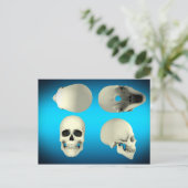 Uitzicht van de menselijke schedel van verschillen briefkaart (Staand voorkant)