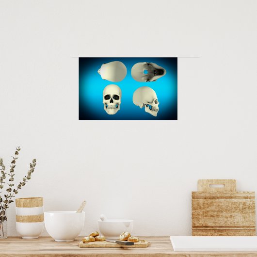Uitzicht van de menselijke schedel van verschillen poster (Keuken)