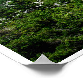 Uitzicht van de Monadnock Poster (Hoek)