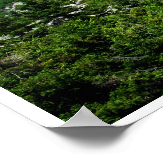 Uitzicht van de Monadnock Poster (Hoek)