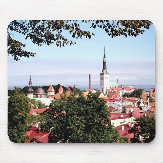 Uitzicht van de Muismat Tallinn (Voorkant)