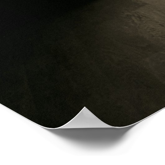 Uitzicht van de Musee D'Orsay in Parijs Poster (Hoek)