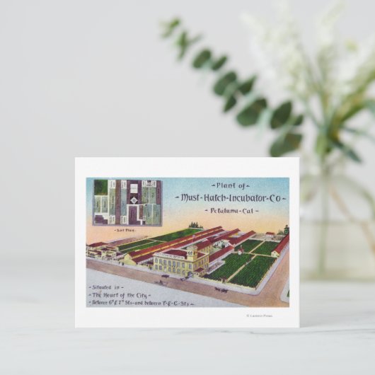 Uitzicht van de "must-Hatch Incubator" Co Bldg Briefkaart (Staand voorkant)