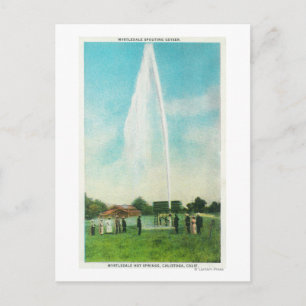 Uitzicht van de Myrtledale Geyser bij de Hot Sprin Briefkaart