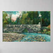 Uitzicht van de Napa County Bridge-Napa, CA Poster (Voorkant)