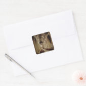 Uitzicht van de nave, gebouwd 1093-1289 vierkante sticker (Envelop)
