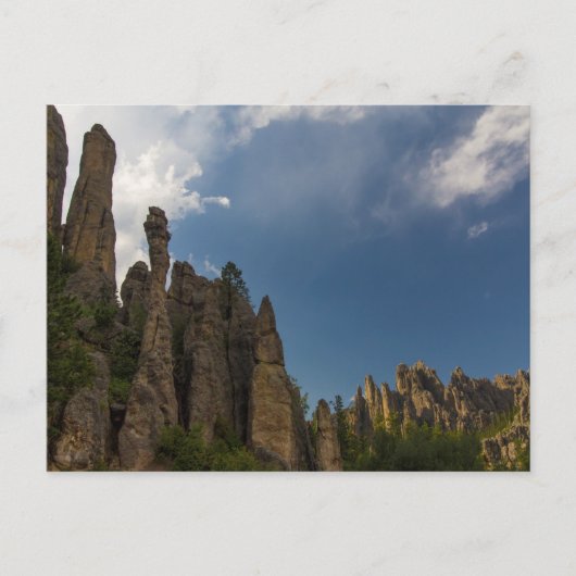 Uitzicht van de Needles Highway, South Dakota Briefkaart (Voorkant)