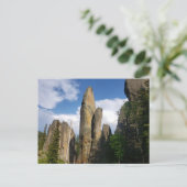 Uitzicht van de Needles Highway, South Dakota Briefkaart (Staand voorkant)