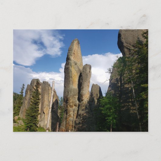 Uitzicht van de Needles Highway, South Dakota Briefkaart (Voorkant)