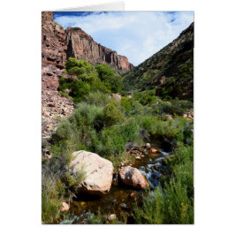 Uitzicht van de Noord-Kaibab Trail