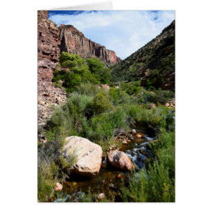 Uitzicht van de Noord-Kaibab Trail