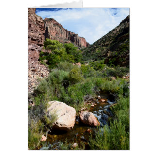 Uitzicht van de Noord-Kaibab Trail