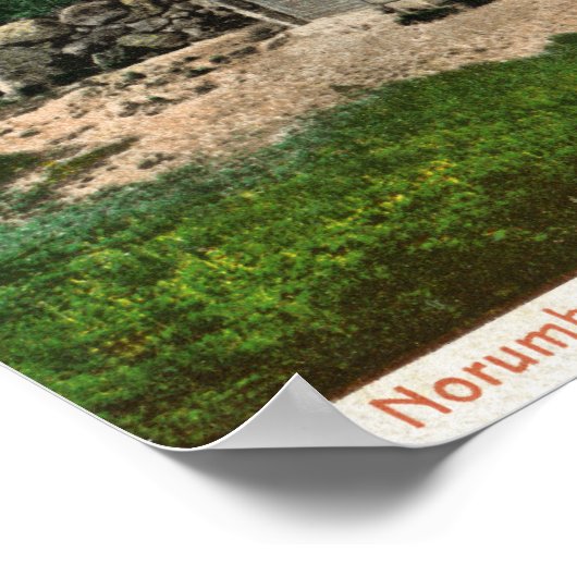 Uitzicht van de Norumbega Tower Poster (Hoek)