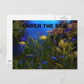 uitzicht van de oceaan, ONDER HET ZEE! Briefkaart (Voorkant / Achterkant)