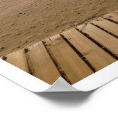 Uitzicht van de oceaan, strand, palmboom, boomloop poster (Hoek)