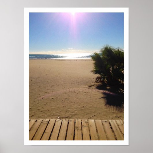 Uitzicht van de oceaan, strand, palmboom, boomloop poster (Voorkant)