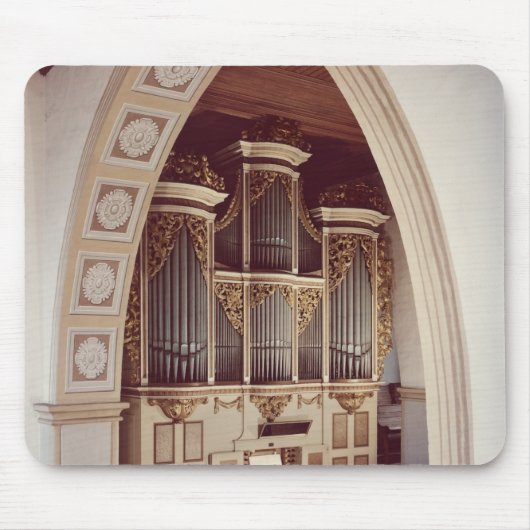 Uitzicht van de Organ in de kerk in Rotha Muismat (Voorkant)