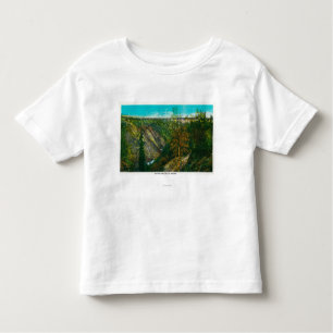 Uitzicht van de orkaanGolfbrug, Alaska Kinder Shirts