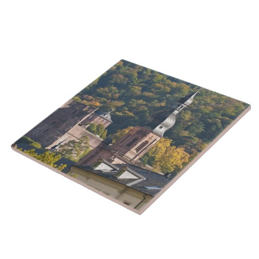 Uitzicht van de oude stad Heidelberg Tegeltje (Zijkant)