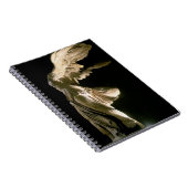 Uitzicht van de overwinning van Samothrace (Parian Notitieboek (Rechterzijde)