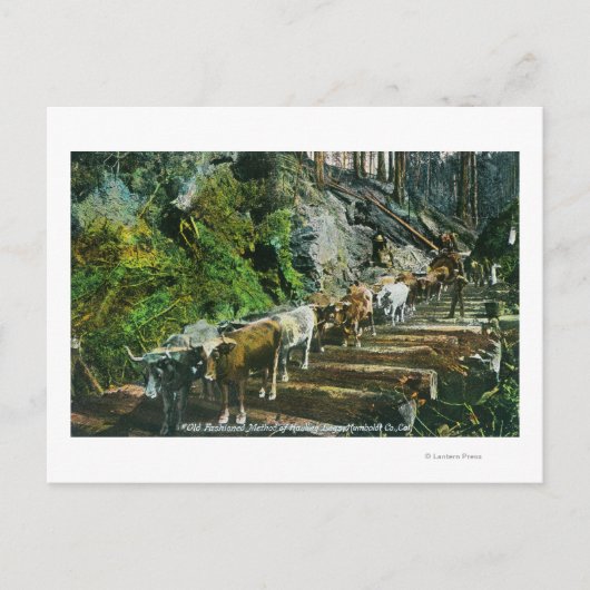 Uitzicht van de Ox-Teams die Logboeken uitzenden Briefkaart (Voorkant)