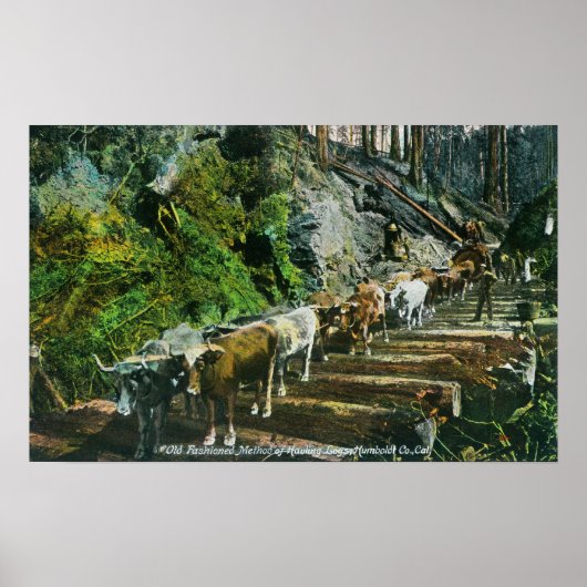 Uitzicht van de Ox-Teams die Logboeken uitzenden Poster (Voorkant)