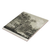 Uitzicht van de Petrifying Spring, gewoonlijk aang Tegeltje (Zijkant)