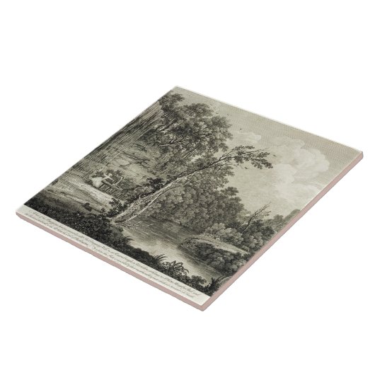 Uitzicht van de Petrifying Spring, gewoonlijk aang Tegeltje (Zijkant)