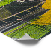 Uitzicht van de PikeLong Beach, CA Poster (Hoek)