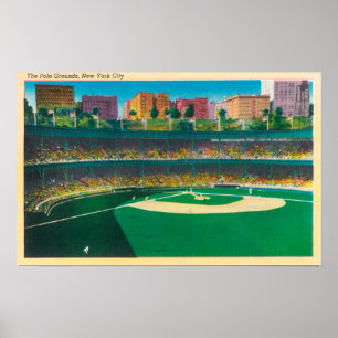 Uitzicht van de Polo Grounds New York, NY Poster
