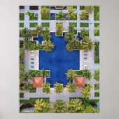 Uitzicht van de pool omringd door palmbomen poster (Voorkant)