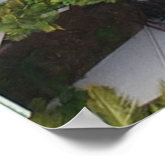 Uitzicht van de pool omringd door palmbomen poster (Hoek)