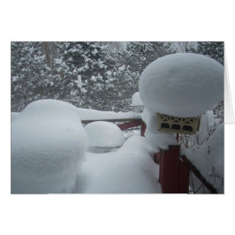 Uitzicht van de Porch